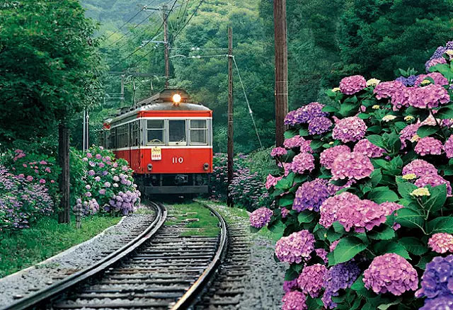 将火车变成风景细数日本十大特色列车