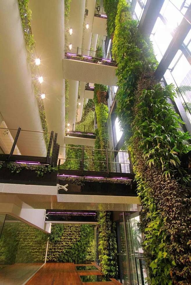 办公室内垂直绿化