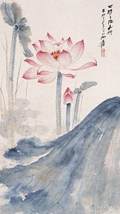 化身孤岛的小龙虾采集到书法、国画