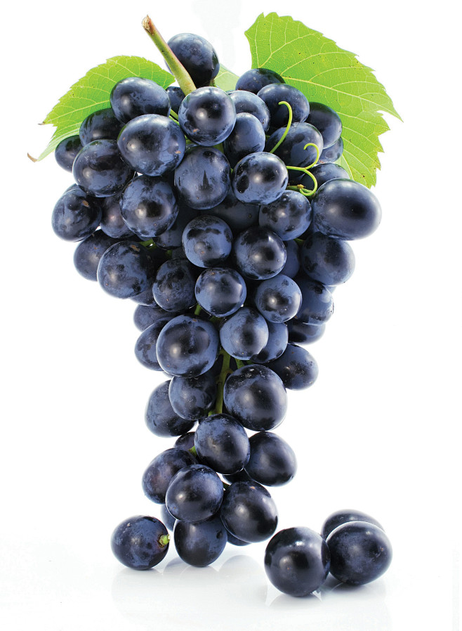 grapeseedextractbenefitsgrowwidelynutritionindustryexecu