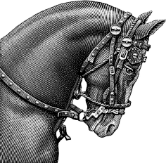 M-小鹿采集到钢笔画