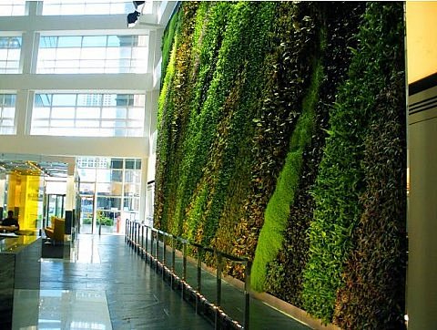 室内植物墙