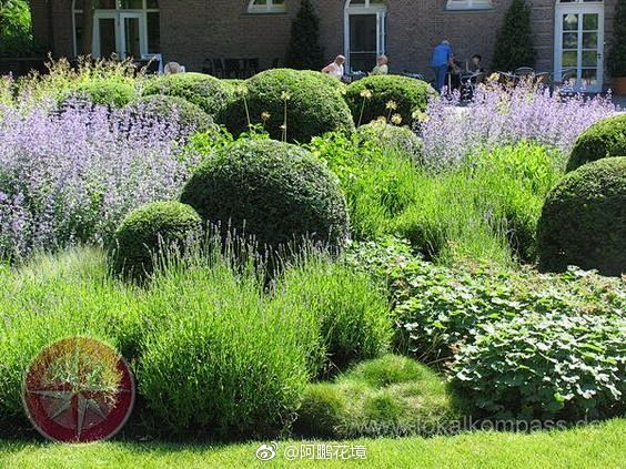 观赏草与宿根花卉的搭配阿鹏花境67676767