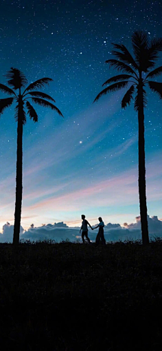 HaleyComet采集到星月夜