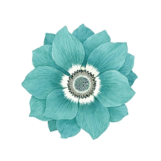 青色背景 花瓣网 陪你做生活的设计师 花蓝色的花手绘花