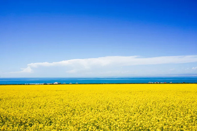 青海湖风景俄亥俄河青海省油菜花水天空留白水平画幅无人