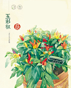 苏门山酒狂采集到【插画】陆集 · 水彩彩铅微景小物