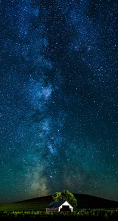 HaleyComet采集到星月夜
