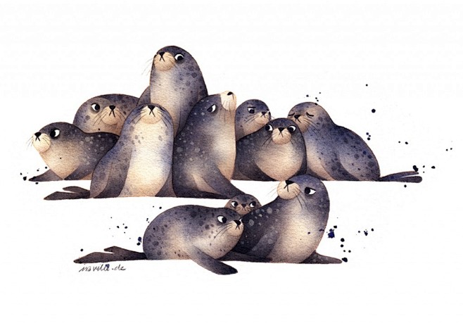 seals