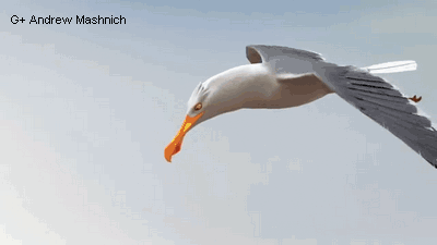 400_225gif 动态图 动图