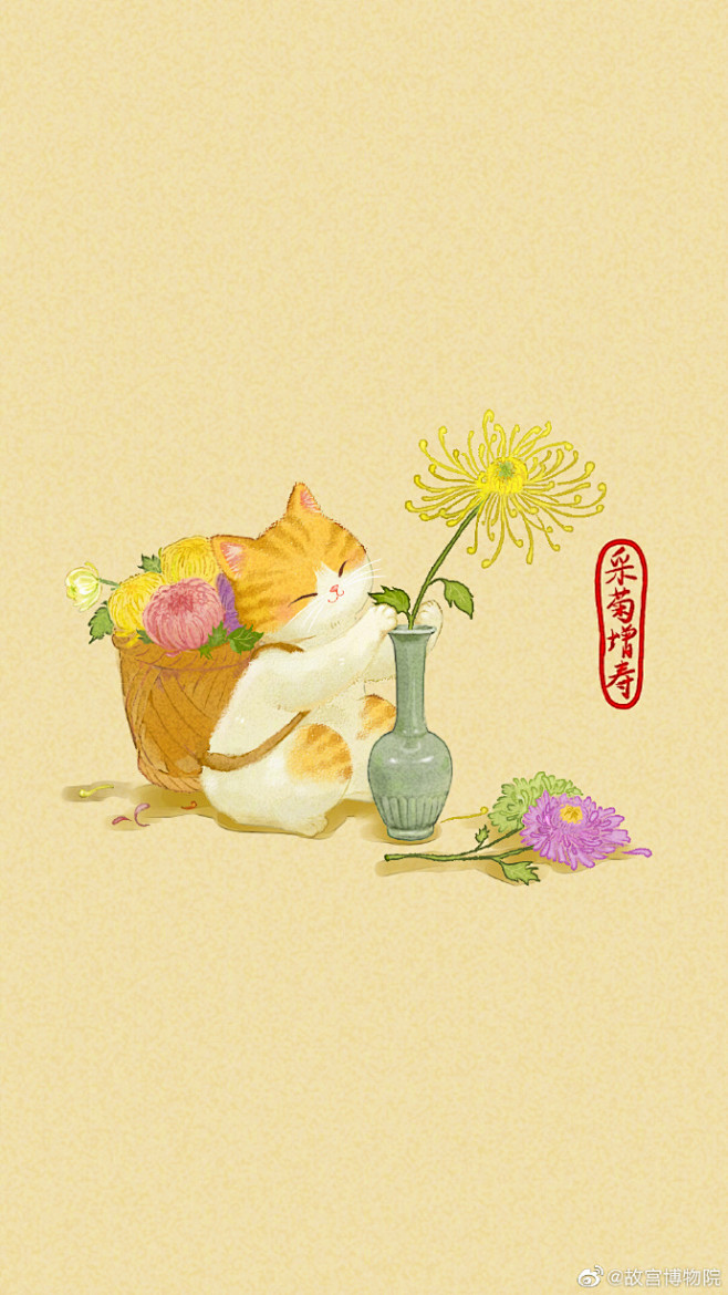 菊花是潇洒飘逸的君子是坚韧不拔的斗士宫猫记的猫猫们也和古人一样