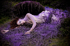 湖畔阴影采集到克里斯蒂·米切尔(Kirsty Mitchell),英国摄影师