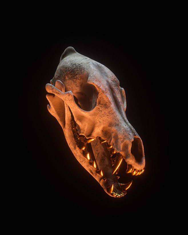 billelis3dskullpackvol3predatorsthebillelisskullmodelpackvol3isa