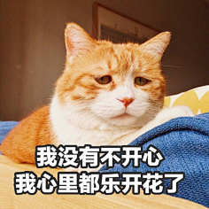 吾名燕采集到表情包