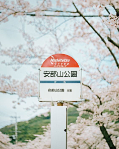 走肖采集到时光的城