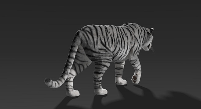 神兽鲲山海经异兽神话神兽鲸鱼暴龙虎