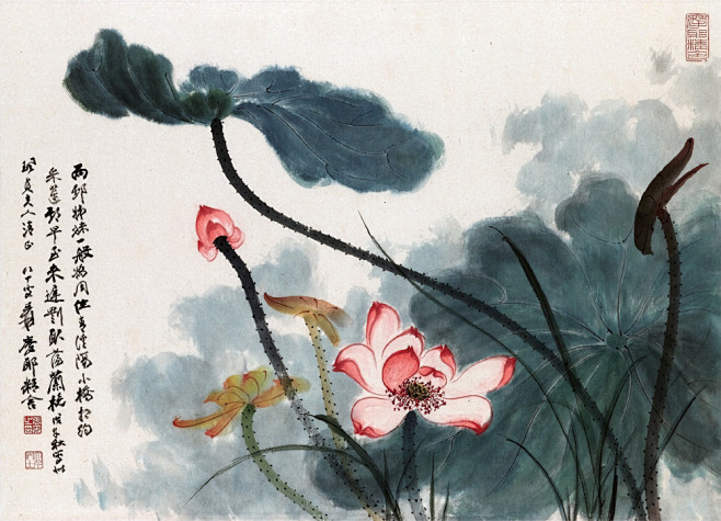 国画大师张大千荷花作品