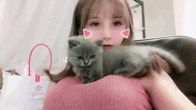 com 紫翼spirit采集到夏美酱  采集 photo.weibo.