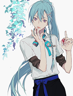 SMVTL采集到动漫集