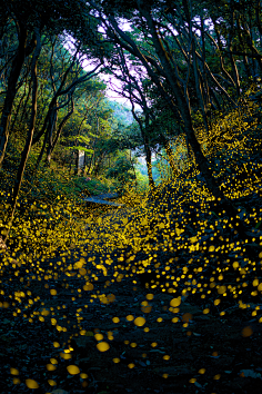 大大大大大卫采集到Photograph