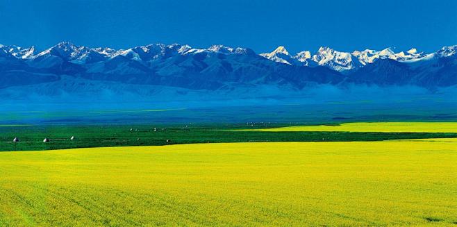 最美油菜花|画廊|中国国家地理网