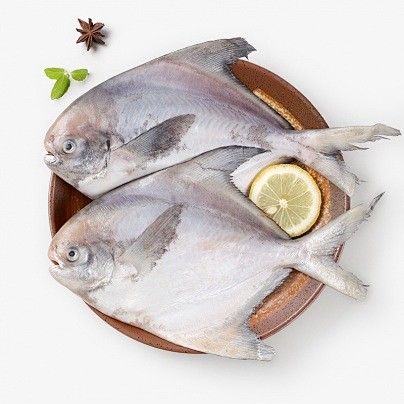 第二件半价东海舟山鲳鱼450g200300g条