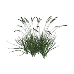 c 园林软件素材-ps