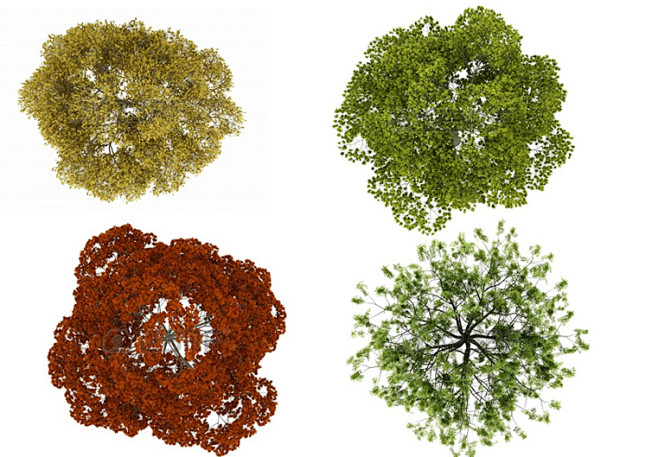 手绘水彩彩平psd 外国真实高清景观树木平面psd国际素材-淘宝网