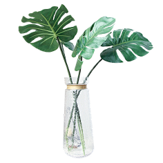 归零Zerooo采集到植物
