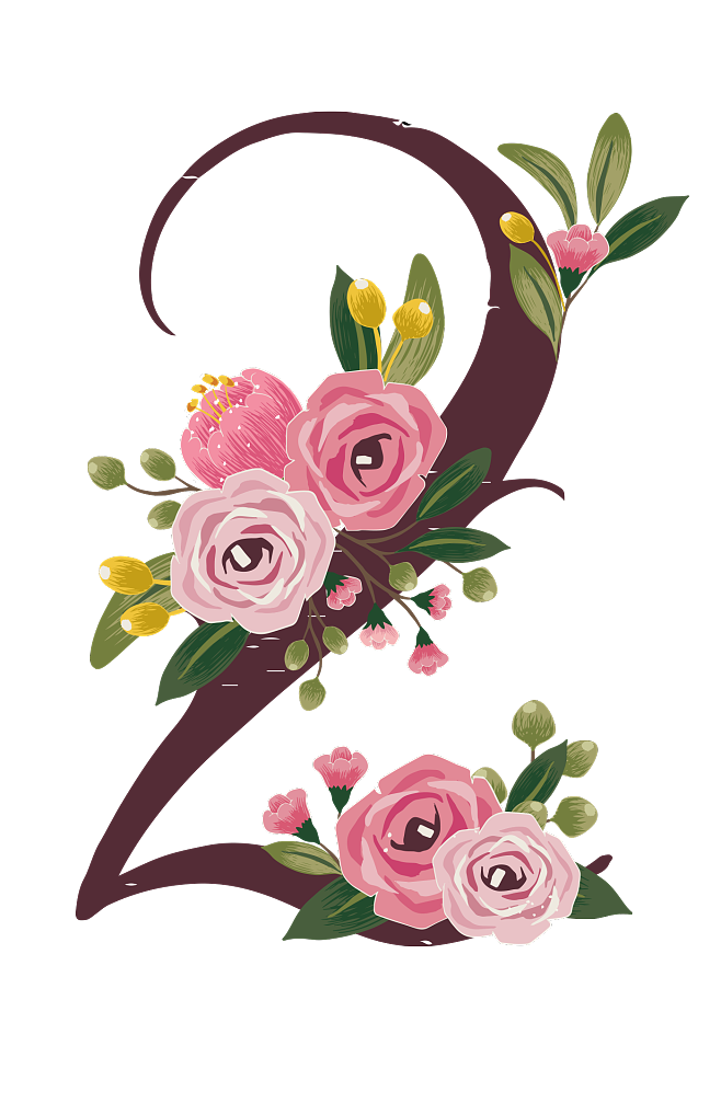Png彩铅鲜花文字玫瑰数字设计创意花朵装饰艺术字阿拉伯数字2 冒险家的旅程か