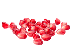 xx仙人掌xx采集到fruit