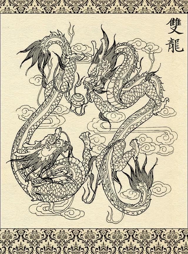 美术素材一组龙的白描图