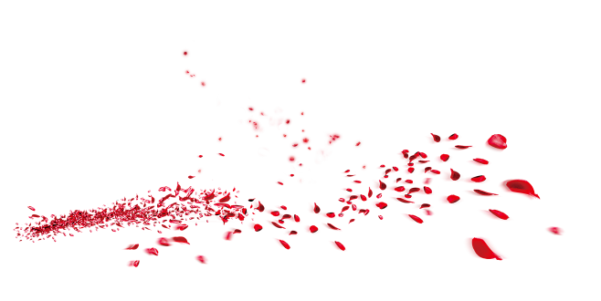 花瓣素材png素材玫瑰花瓣樱花桃花飘落飘洒散落情人节浪漫素材前景