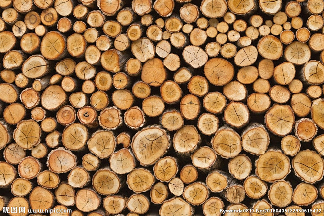 通过花瓣chrome扩展采集于2020-06-19 15:25:58木桩木材树木年轮2喜欢