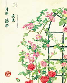 苏门山酒狂采集到【插画】陆集 · 水彩彩铅微景小物