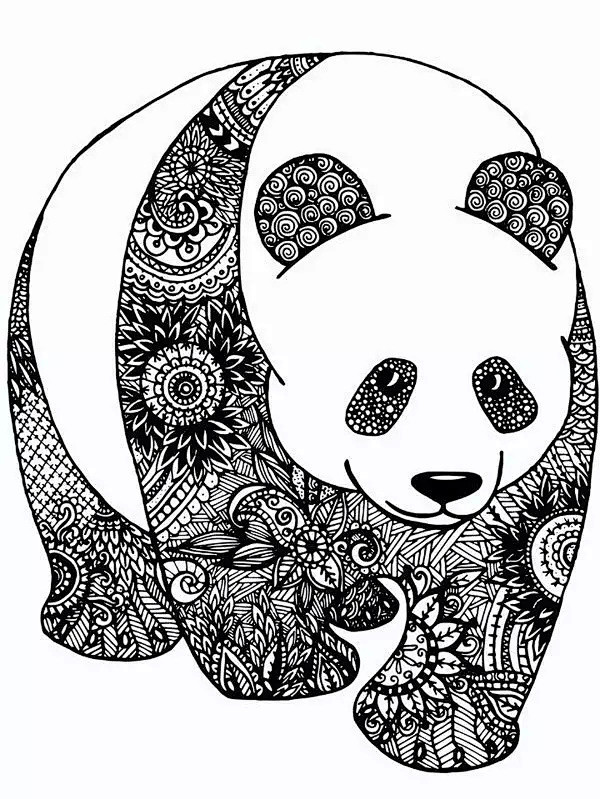 干货来了送你一大波动物装饰画