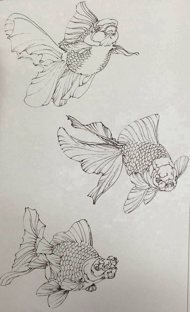 傳統白描金魚技法