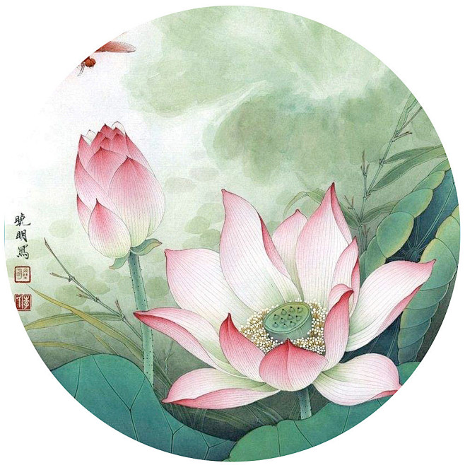 线性稿国画工笔画花卉集锦