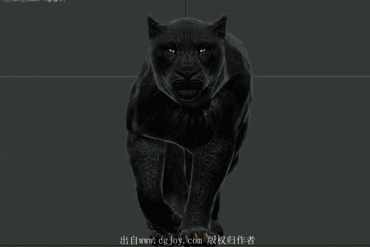 新提醒黑豹动画全集视频gif参考走跑跳攻击游戏动画论坛poweredby