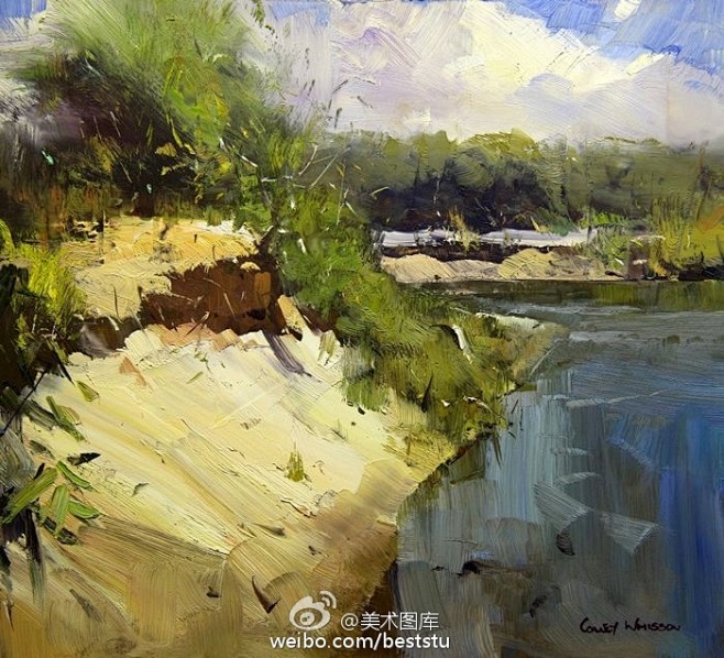 小澈的红杉树海采集到美丽色彩