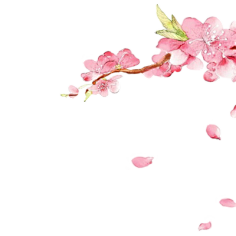 嘉兰诺德采集到UI