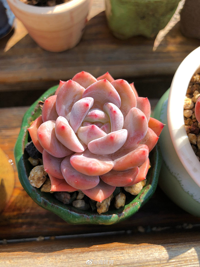 桅儿从浠风转采于2020-11-02 14:05:22橙梦露网