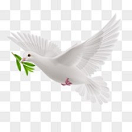 小时光chacha采集到中秋节png采集4