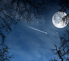 花杏杏采集到科幻星空