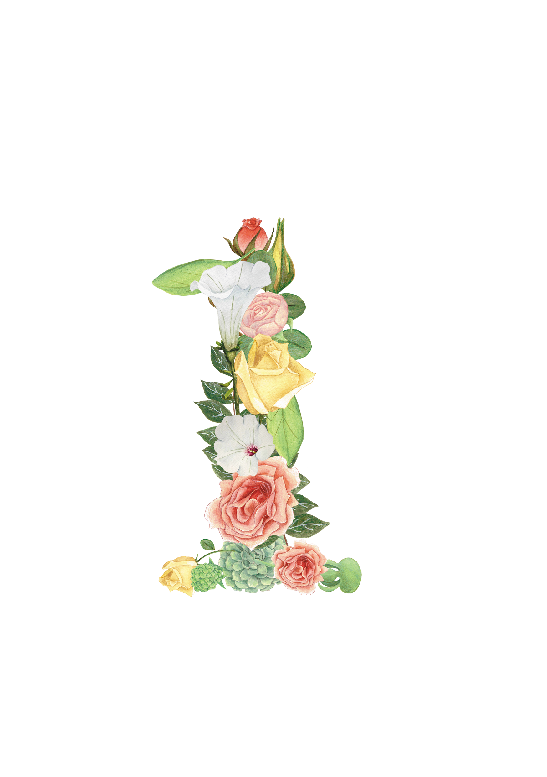 花朵数字1 2 3 4 5 6 7 8 9 0阿拉伯数字png