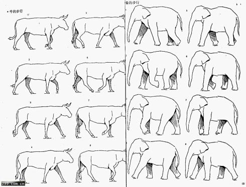 四足动物的运动规律 Wbr 并附经典参考图讲解
