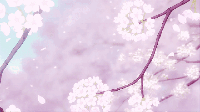 樱花树下遇见你是我此生最美的回忆▏50lgif唯美二次元风景图二次元美