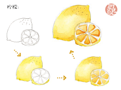 飞乐鸟采集到飞乐鸟插画篇