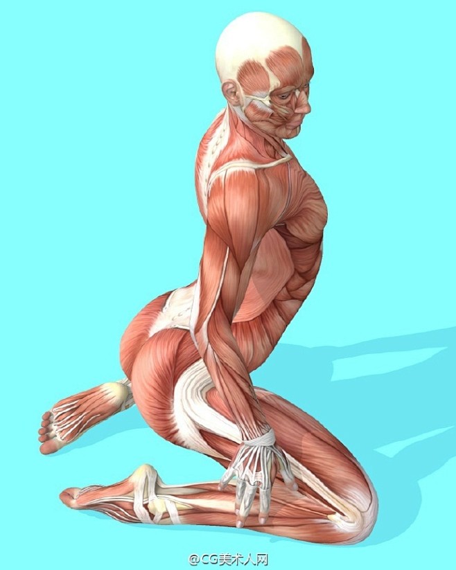 绘画参考一组坐卧动态姿势参考by九条p站id792283