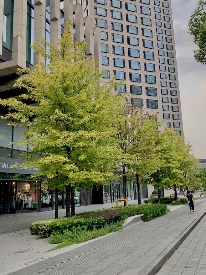 10-14 10:36:40娜塔莉植物capricious78该采集也在以下画板加载更多